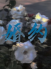 婚约ABO
