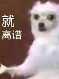 tf家族：重生后我到三代当练习生
