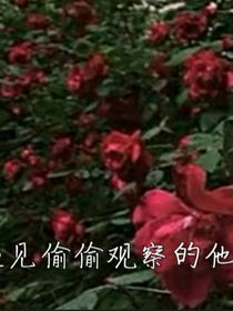 遇見偷偷的觀察他