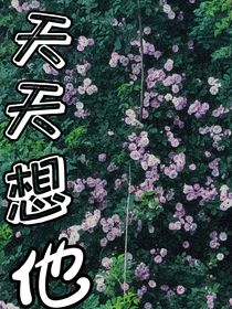天天想他