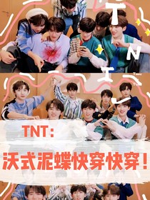 TNT：沃式泥蝶快穿快穿！