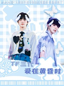 TF三代：愛在黃昏時