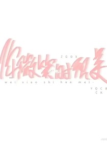 你微笑时很美2——ZGDS