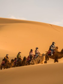 彩虹总在风雨后