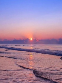 小花仙之淺夏韻歌