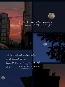 霁月夜茶