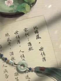 盗笔……同人文