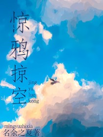 惊鸦掠空