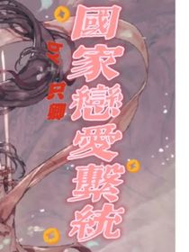 国家恋爱系统