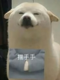 雜類be故事