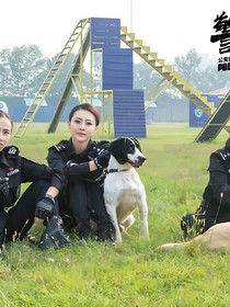 书名正在修改1681783775123040124