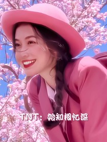 TNT：始知相忆深