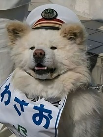 零星熠點(diǎn)