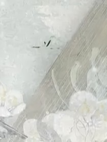 欣与爱