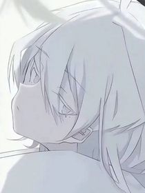 银鸢将开