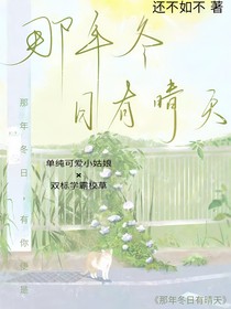 那年冬日有晴天