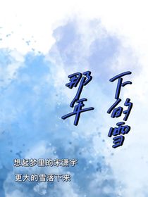 那年下的雪