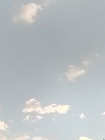 橘红色的希望