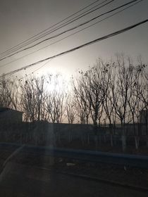 顾南不倾楠