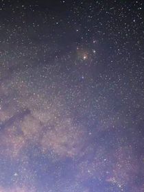玫瑰藏匿于星海