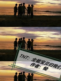 TNT：全能宝贝归我们