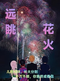 远眺花火