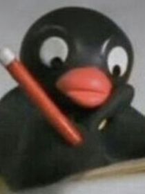 槐落
