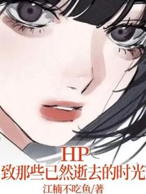 hp致那些已然逝去的时光
