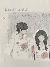 夏天的杨树