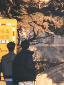 穿成霸总的喵