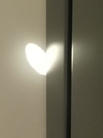 都是Alpha的错