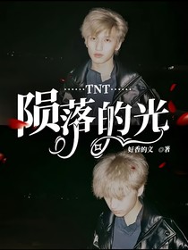 TNT：陨落的光