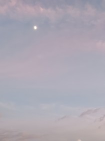 月伤