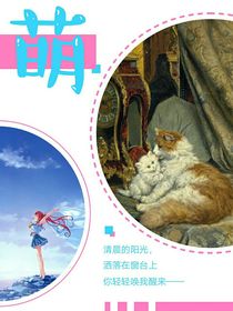 穿越之我是只貓