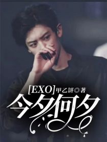 EXO：今夕何夕