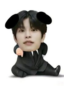 straykids：帥t在人下