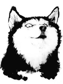 再见了，我的仙尊大人