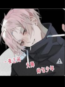 一夜之间天降帅气少年