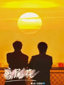 文轩：神明手中的鸢尾花
