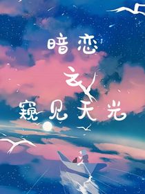 暗恋之窥见天光