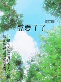 盛夏了了