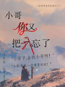 小哥，你又把我忘了