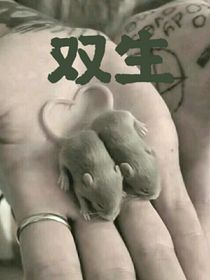 東京復(fù)仇者：雙生