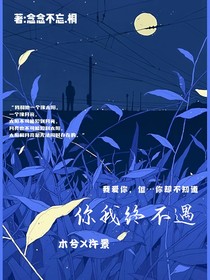 你我終不遇