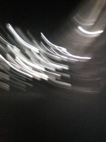你是我的囚鸟