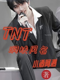 TNT：洞扶风名
