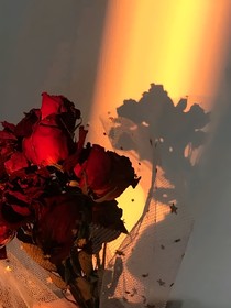花期徐徐