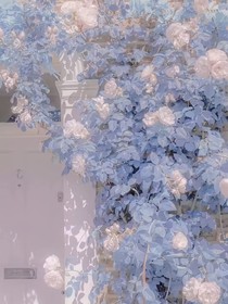 你是我的命中注定—文霖