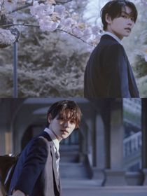 快穿：美男们全收了