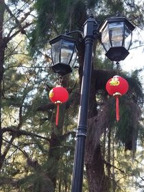 花開亦別